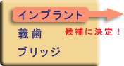義歯・ブリッジ・インプラント